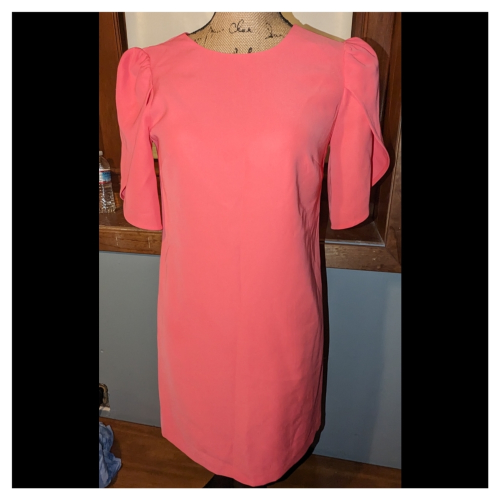 Cynthia Steffe Sunday Tulip Sleeve Dress size 0